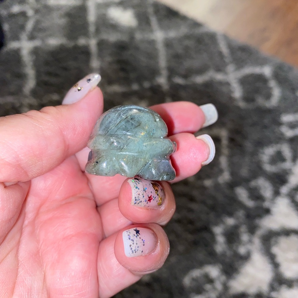 Crystal turtles - Picture 5 of 16